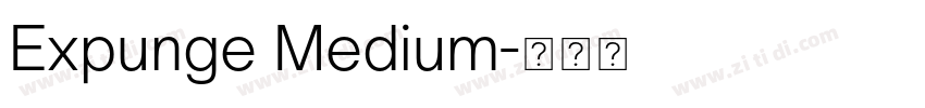 Expunge Medium字体转换